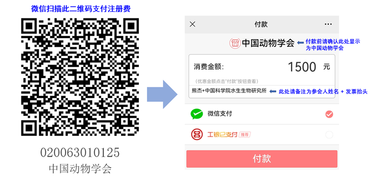 W020250819342992751343.png