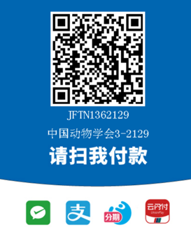 W020250819343139629465.png